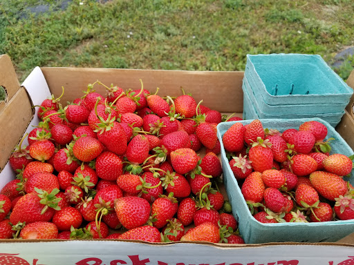 Produce Market «Berry Patch Farms», reviews and photos, 13785 Potomac St, Brighton, CO 80601, USA