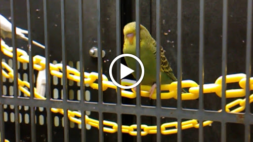 Pet Supply Store «PetSmart», reviews and photos, 12483 Limonite Ave, Mira Loma, CA 91752, USA