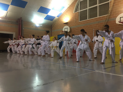 INSTITUT TAEKWONDO 77 à Coulommiers