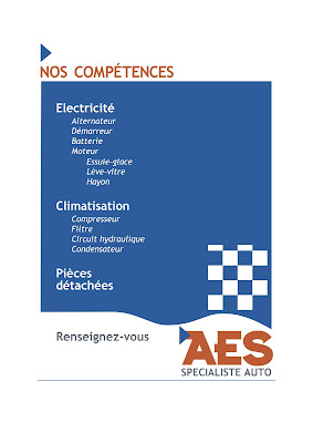 AES SAINT LOUIS alternateur démarreur climatisation FAP pompe de direction batterie pièces techniques turbo à Saint-Louis