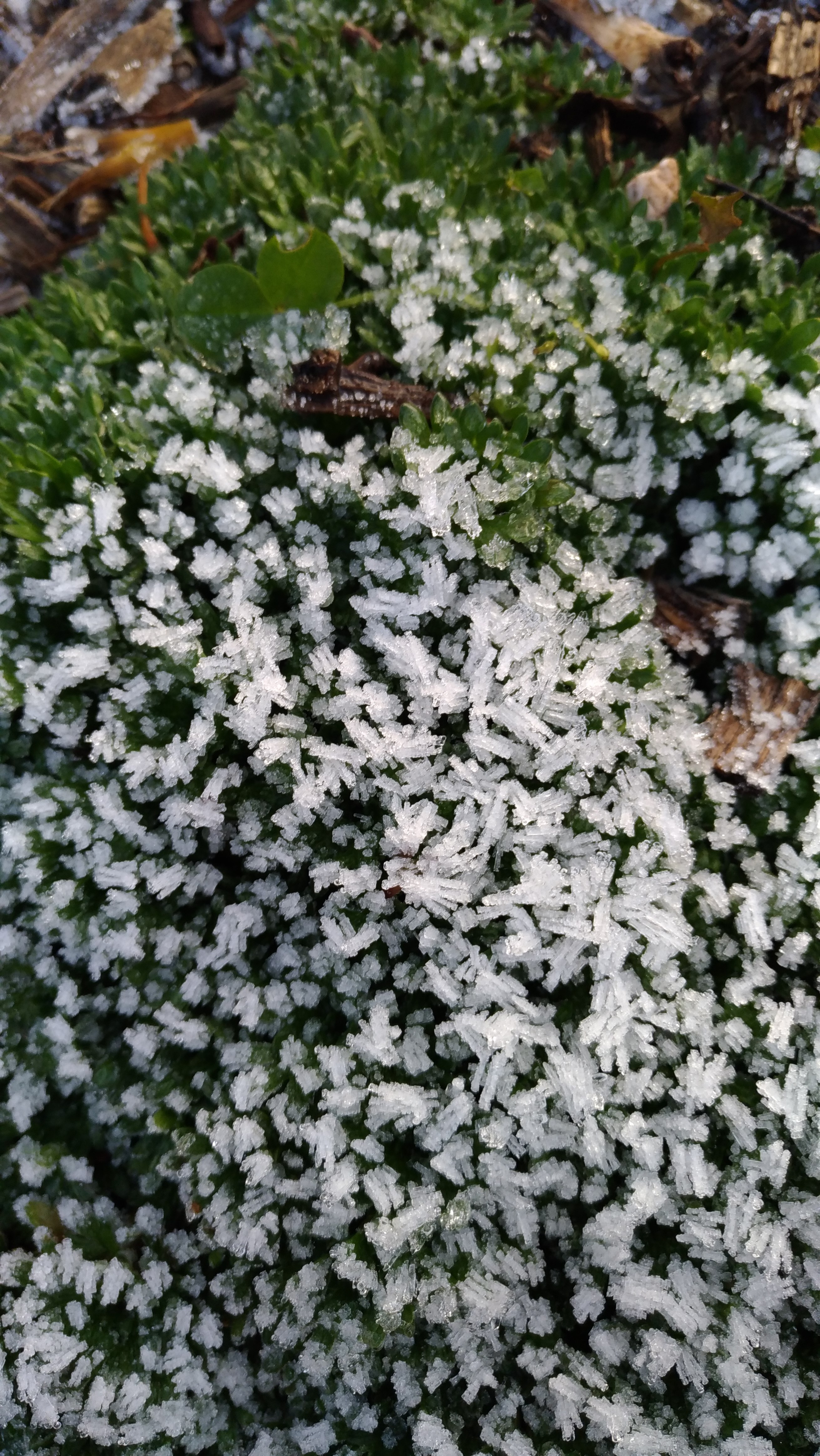 Photo n° 26 de l'avis de Chrystelle.e fait le 21/04/2019 à 16:16