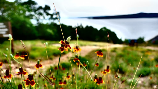 National Park «Overlook Park», reviews and photos, 601 Coe Rd, Canyon Lake, TX 78133, USA