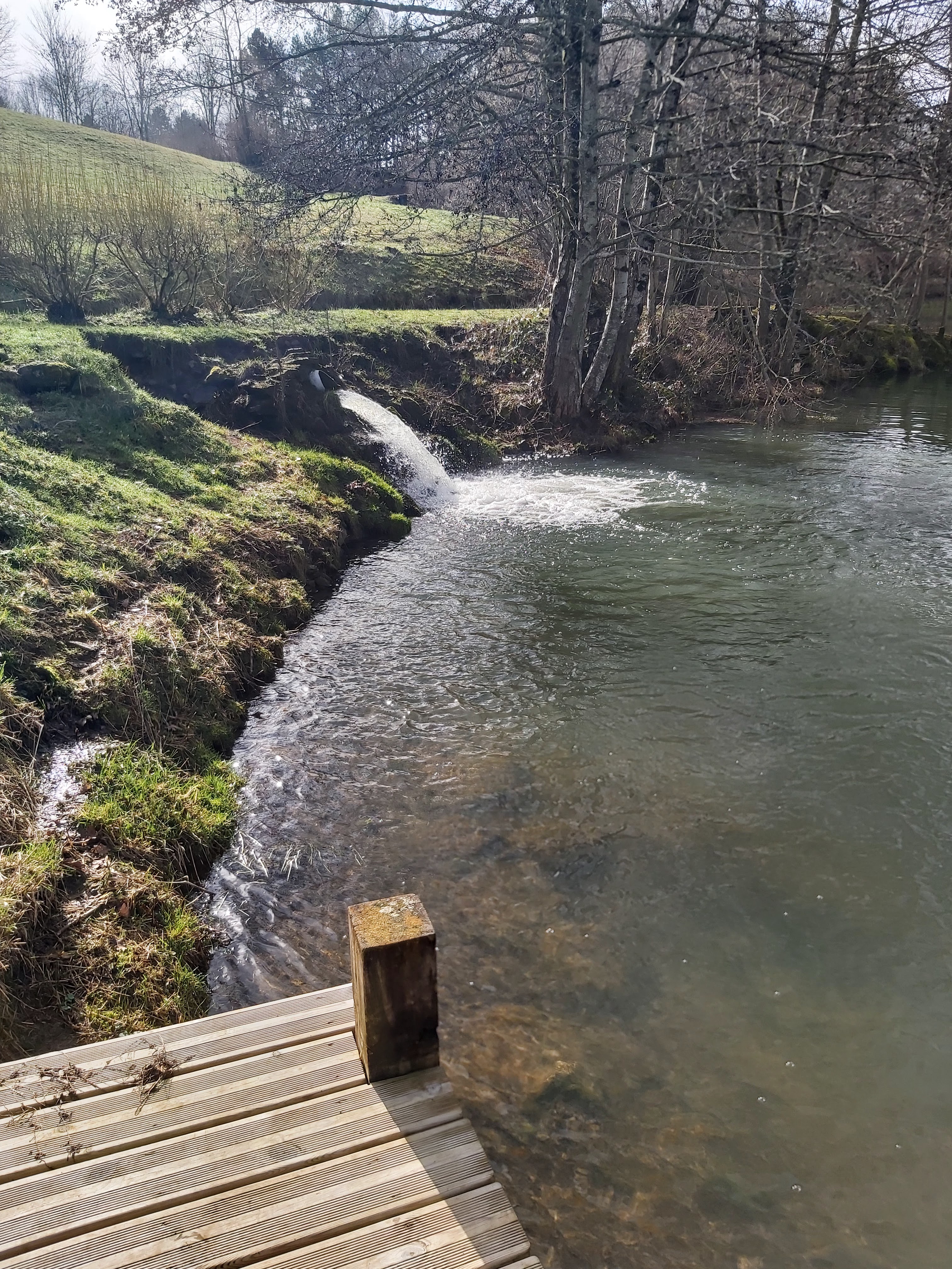 Photo n° 3 de l'avis de Laurent.e fait le 13/02/2021 à 13:08