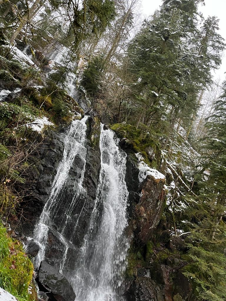 Photo n° 1 de l'avis de Patrick. fait le 24/01/2022 à 13:18