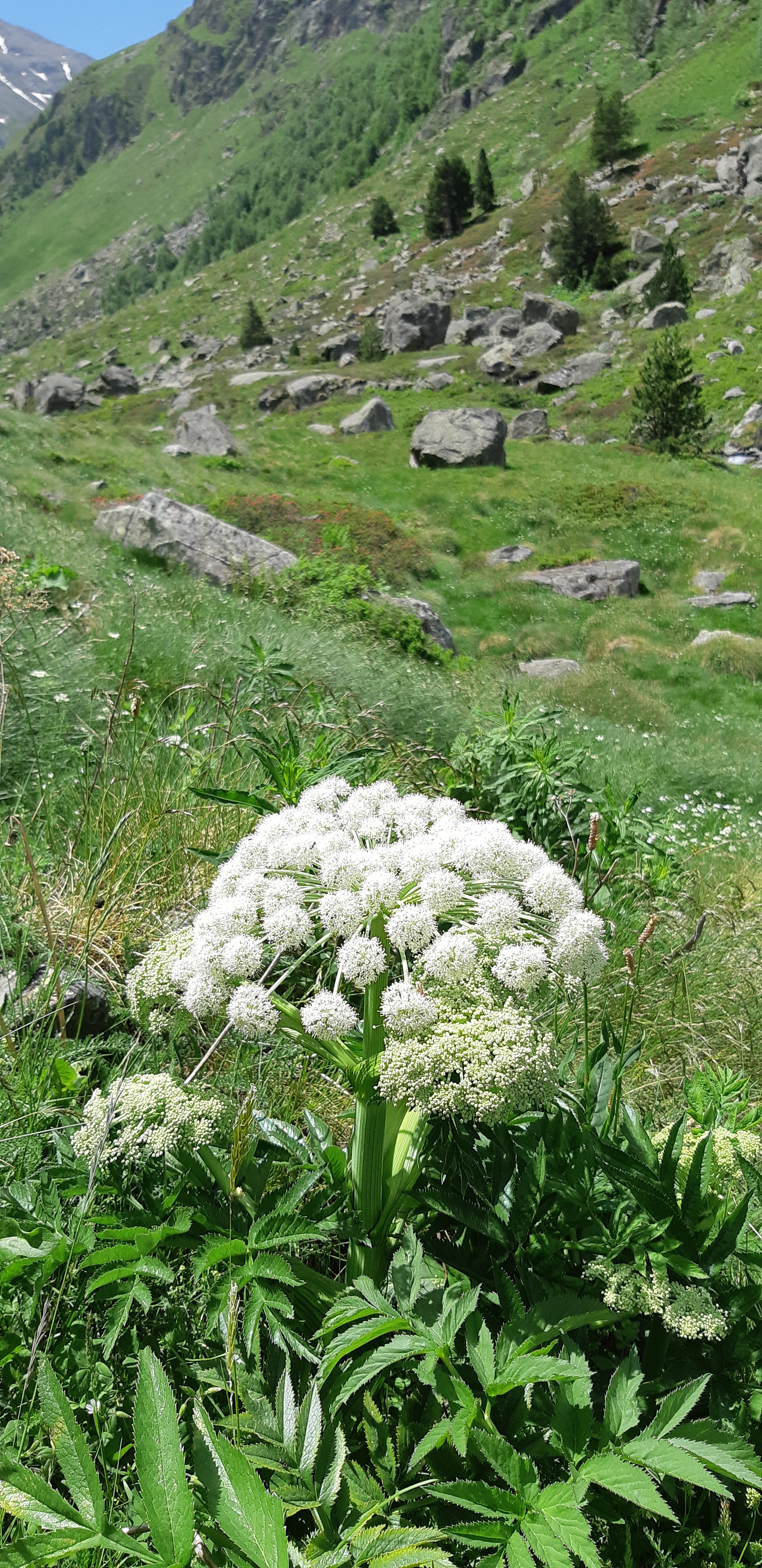 Photo n° 13 de l'avis de Yannick.a fait le 10/07/2019 à 09:58