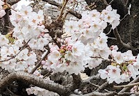 光明公園