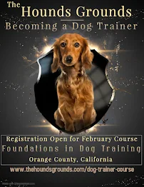 The Hounds Grounds - Car repair in Huntington Beach, CA, Fullerton - Rated 5.0/5