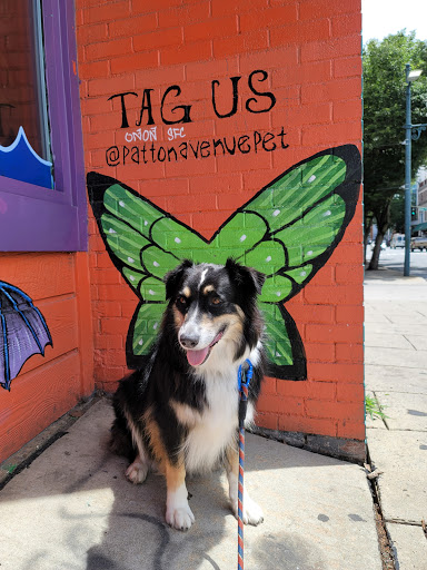 Pet Supply Store «Patton Avenue Pet Company- Downtown», reviews and photos, 109 Patton Ave, Asheville, NC 28801, USA