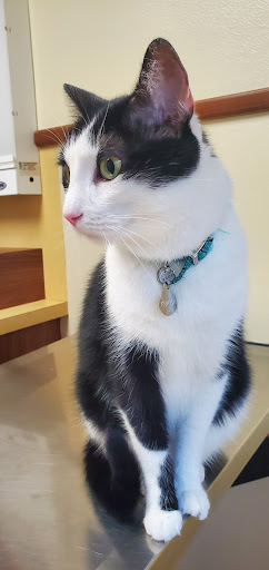 13720 Schroeder Rd, Houston, TX 77070, USA