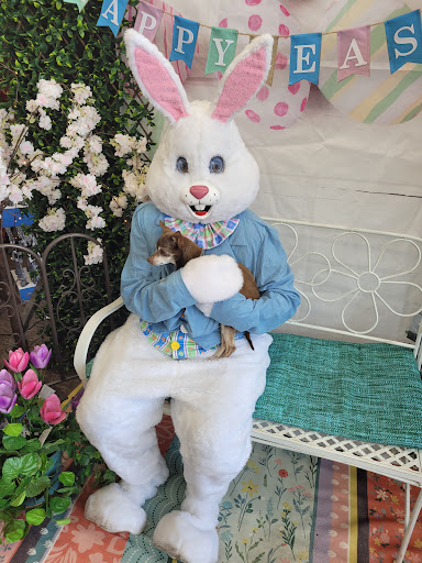 Hardware Store «Ambridge Do It Best Home Center», reviews and photos, 500 Ohio River Blvd, Ambridge, PA 15003, USA