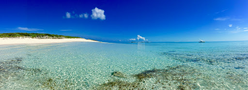 Sporting Goods Store «Adventure Sports», reviews and photos, 2750 SW 26th Ave, Miami, FL 33133, USA