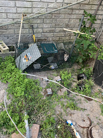 Walter Salazar Pest Control, LLC - Photo 3 - Car repair in Lehigh Acres, FL, Lehigh Acres