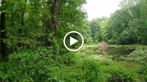 Camp «Howell Nature Center», reviews and photos, 1005 Triangle Lake Rd, Howell, MI 48843, USA