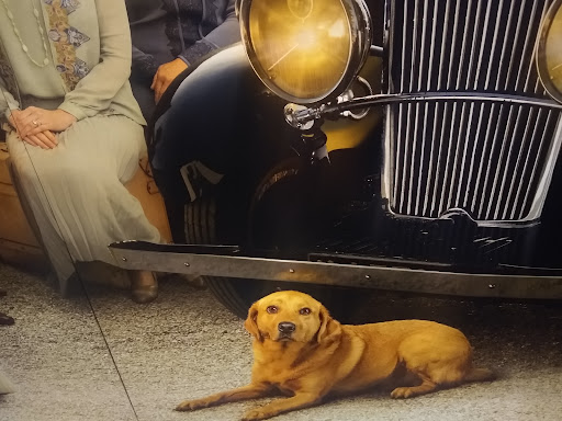 Movie Theater «AMC Lennox Town Center 24», reviews and photos, 777 Kinnear Rd, Columbus, OH 43212, USA