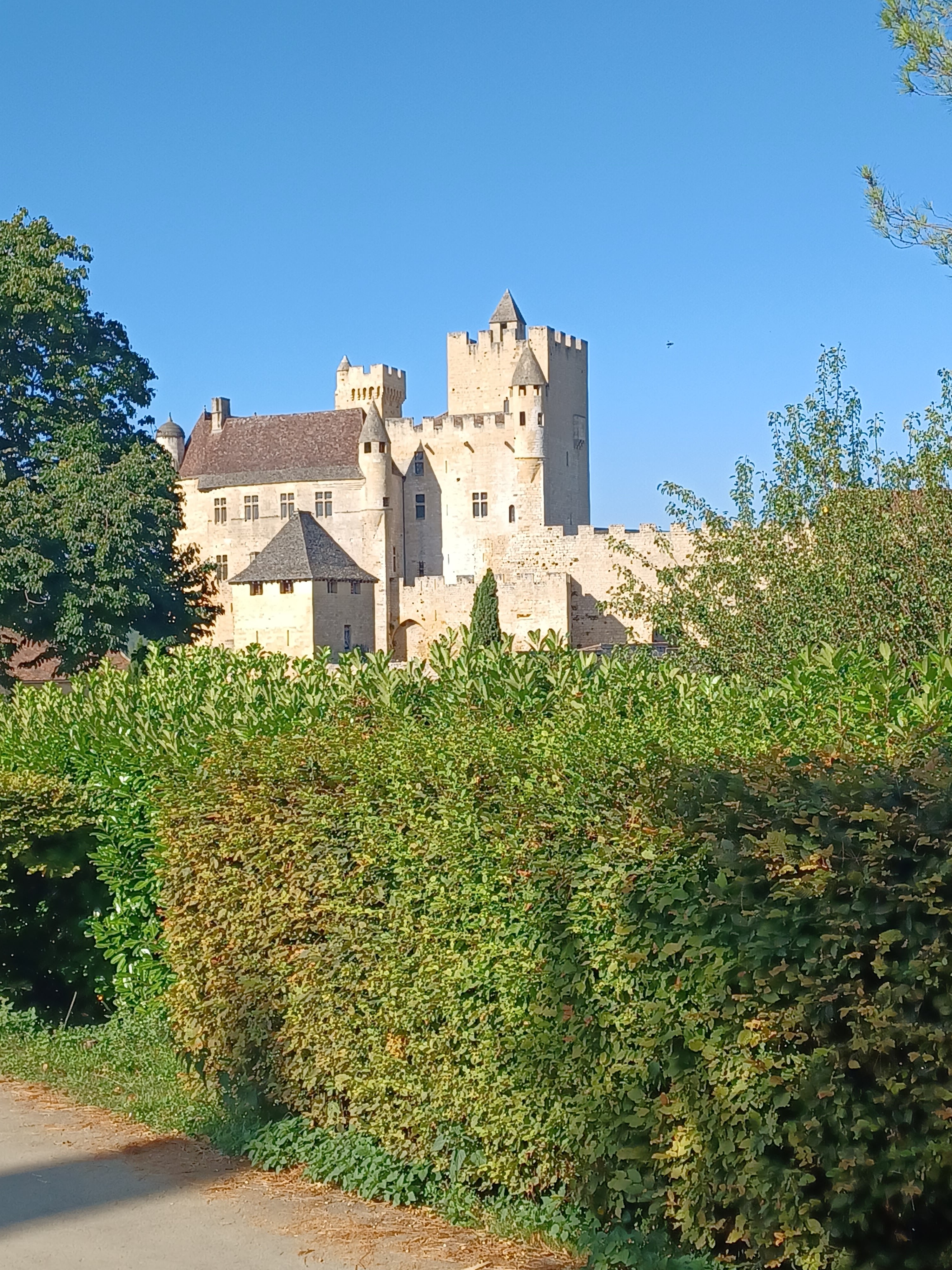 Photo n° 1 de l'avis de D. fait le 06/08/2023 à 12:58