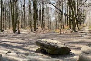 Zevenster met ‘dolmensteen van Duisburg’ image