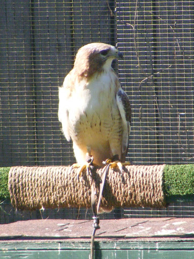 Nature Preserve «Lakeside Nature Center», reviews and photos, 4701 E Gregory Blvd, Kansas City, MO 64132, USA