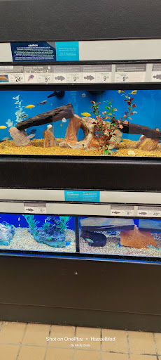 Pet Supply Store «Petco Animal Supplies», reviews and photos, 13691 Ridgedale Dr, Minnetonka, MN 55305, USA