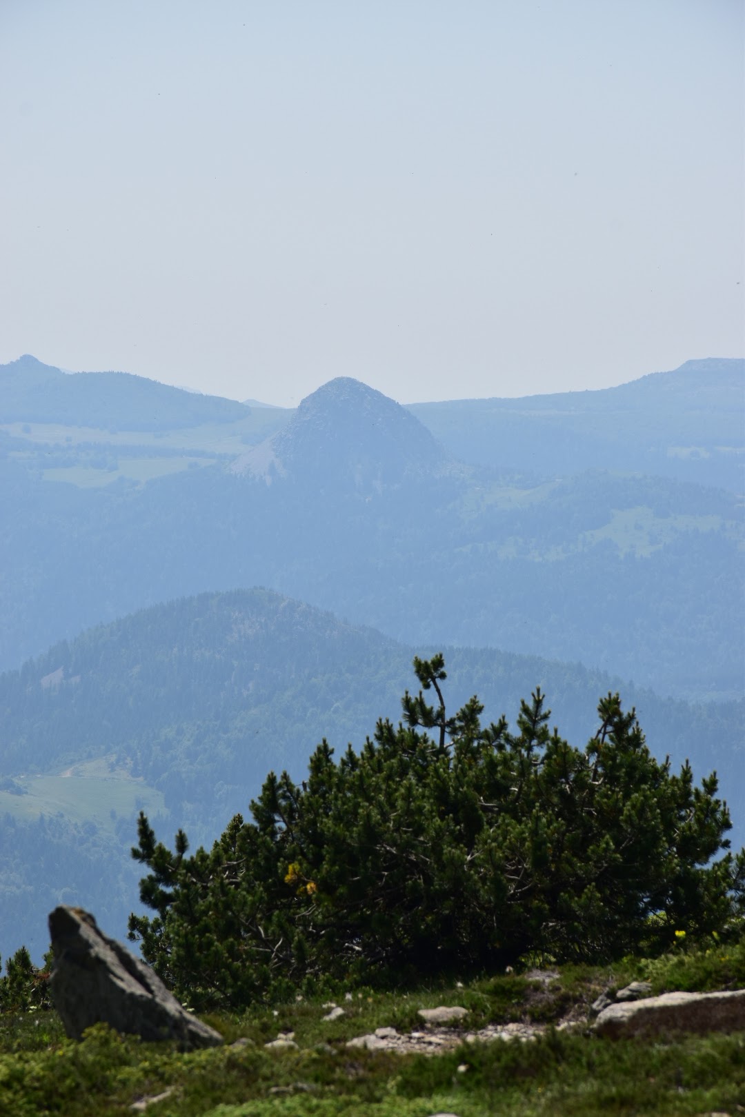 Photo n° 10 de l'avis de Muriel.e fait le 02/07/2019 à 20:00