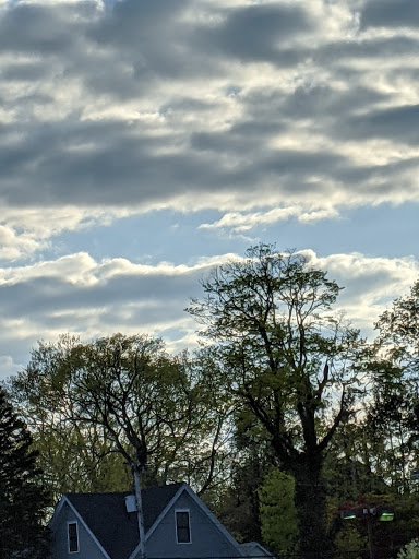 Supermarket «The Harrison Market», reviews and photos, 355 Halstead Ave, Harrison, NY 10528, USA