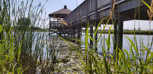 Conference Center «Cambridge Lakes Community Center», reviews and photos, 1125 Wester Blvd, Pingree Grove, IL 60140, USA