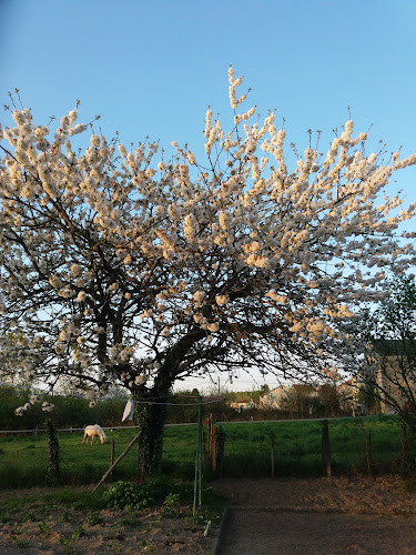 Gerbier Thierry à Clessé