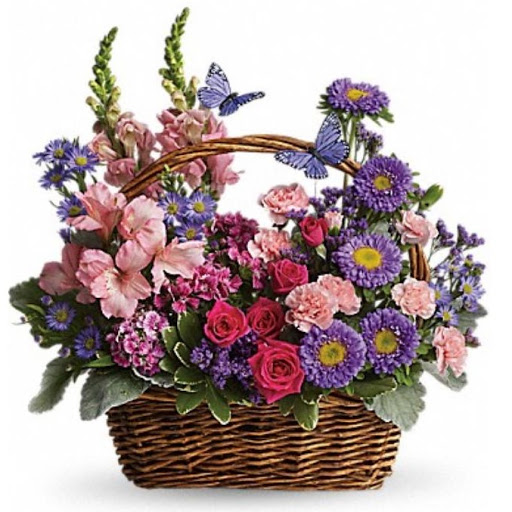 Color It Green, 4370 Boyertown Pike, Reading, PA 19606, USA, 