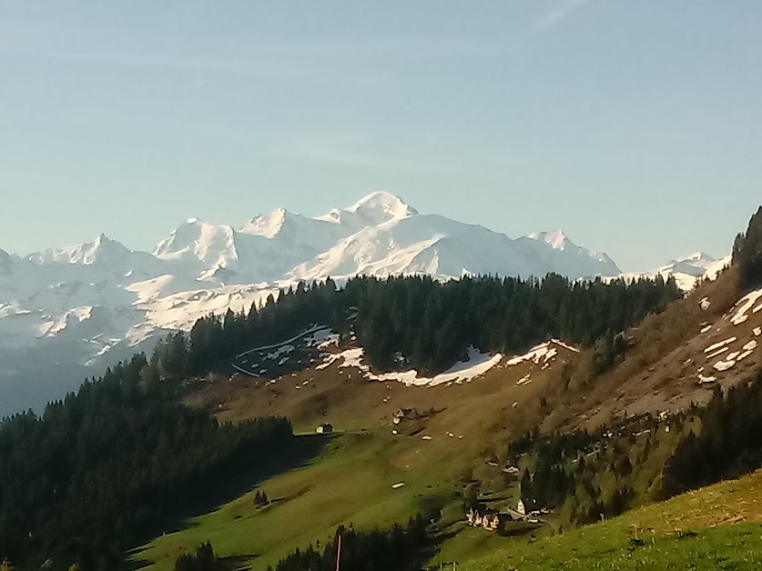 Hôtel Le Chamois à Taninges