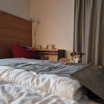 Photo n°1 de l'avis de BKH.o fait le 16/11/2023 à 10:17 sur le  Hotel Weserschlößchen à Nienburg