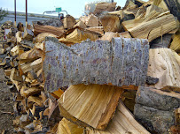 SavATree - Photo 6 - Car repair in Salt Lake City, UT, Salt Lake City