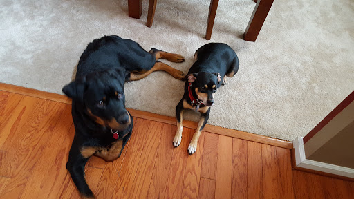 Pet Supply Store «Care-A-Lot Pet Supply Oyster Point», reviews and photos, 301 Oyster Point Rd, Newport News, VA 23602, USA