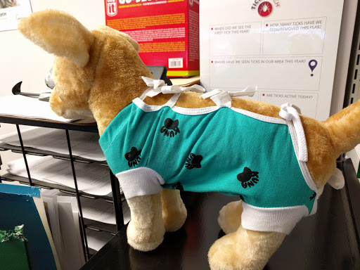 Bruce Street Animal Hospital image