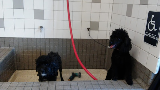 Pet Supply Store «Pet Food Express», reviews and photos, 3910 Middlefield Rd, Palo Alto, CA 94303, USA