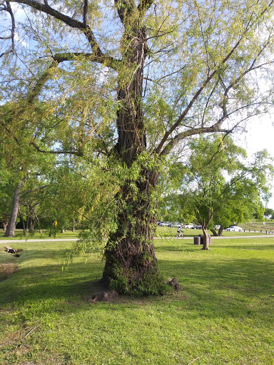 Tourist Attraction «Winfrey Point», reviews and photos, 950 E Lawther Dr, Dallas, TX 75218, USA