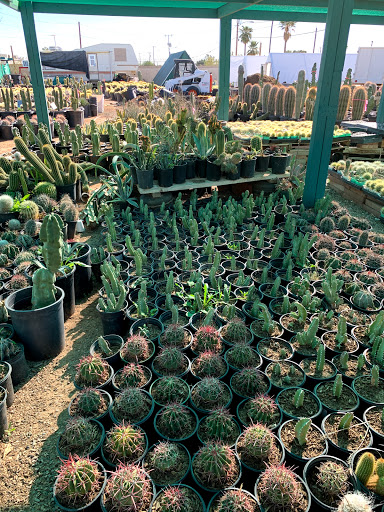 Gas Station «Circle K», reviews and photos, 12707 W Grand Ave, Surprise, AZ 85374, USA