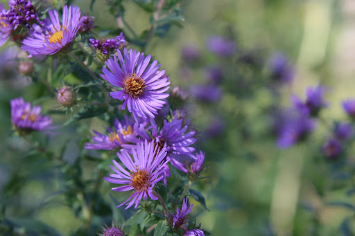 Nature Preserve «Hawthorne Hill Nature Center», reviews and photos, 28 Brookside Dr, Elgin, IL 60123, USA