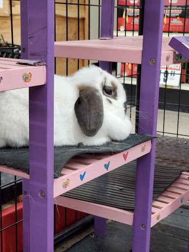 Department Store «Runnings of Brockport», reviews and photos, 4828 Lake Rd N, Brockport, NY 14420, USA