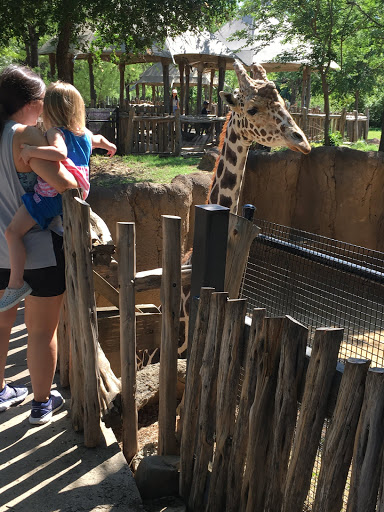 Transit Stop «Dallas Zoo Station», reviews and photos, 614 S. Ewing Avenue, Dallas, TX 75203, USA