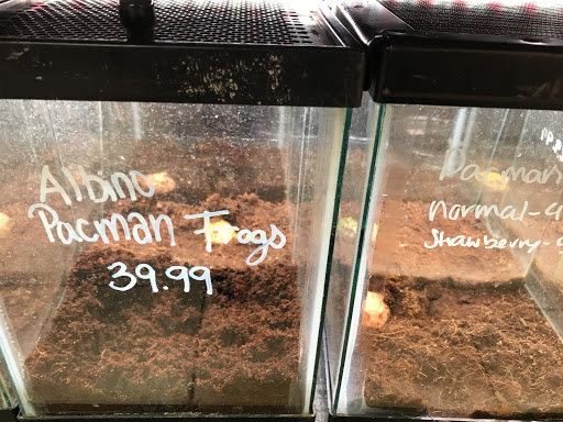 Pet Store «Animal Ark Pet Stores», reviews and photos, 33 Center St, Orem, UT 84057, USA