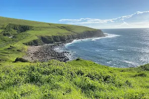 Gerringong to Kiama Coastal Walk image