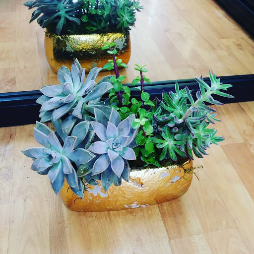 Florist «Alborada Florist», reviews and photos, 17 Huguenot St, New Rochelle, NY 10801, USA