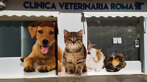 Clínica Veterinaria Roma en Valencia
