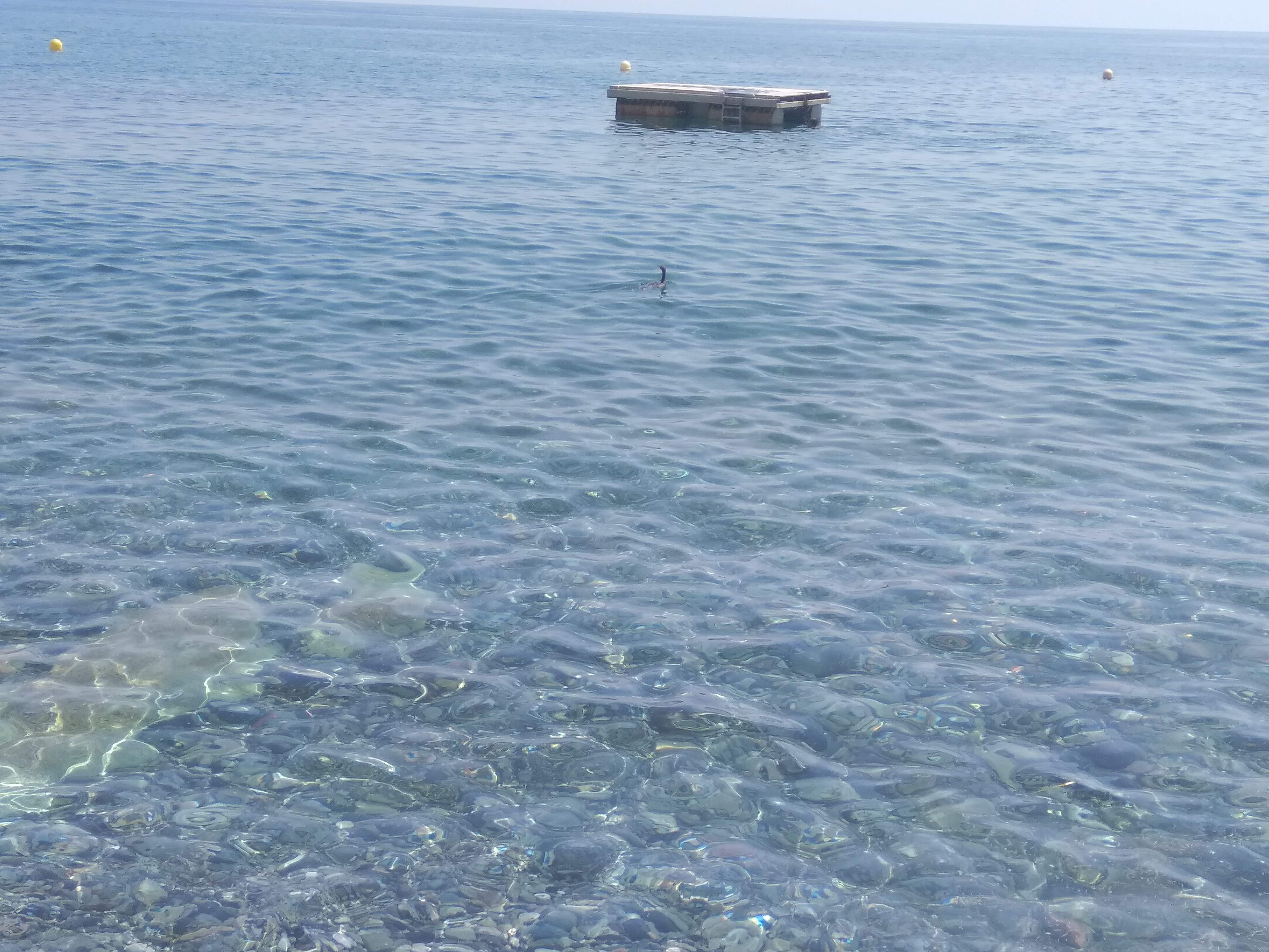 Photo n° 4 de l'avis de Ghada.E fait le 03/08/2017 à 12:57