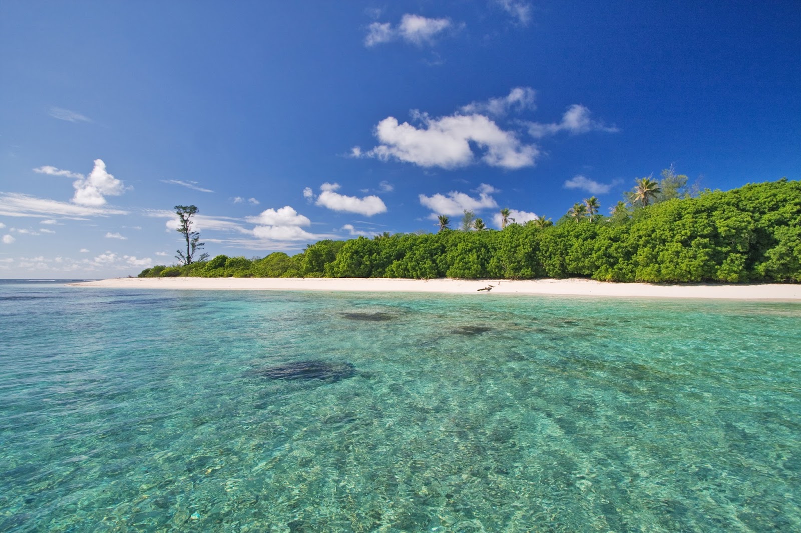 Foto de Bird Island Beach con arena blanca superficie