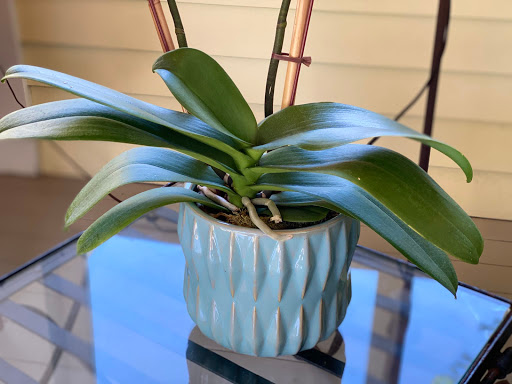 Florist «Jephry Flower Studio», reviews and photos, 432 Broadway, Providence, RI 02909, USA