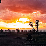 Photo n°1 de l'avis de michele.a fait le 27/11/2023 à 04:46 sur le  Osteria La Sgranata à Livorno