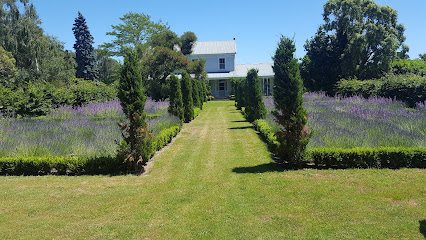 Lacewood