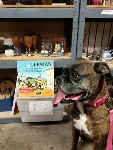 Thrift Store «Luv-To-Save Thrift Shop», reviews and photos, 1221 E Northern Ave, Phoenix, AZ 85020, USA