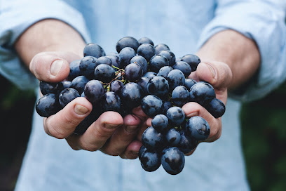 Mountain wine-tasting