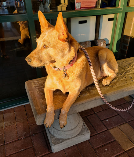 Shopping Mall «Seville Shopping Center», reviews and photos, 7001 N Scottsdale Rd, Scottsdale, AZ 85253, USA